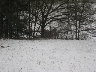 Blick von der Waldabfahrt durch die Bäume zum Kassenhäusschen
