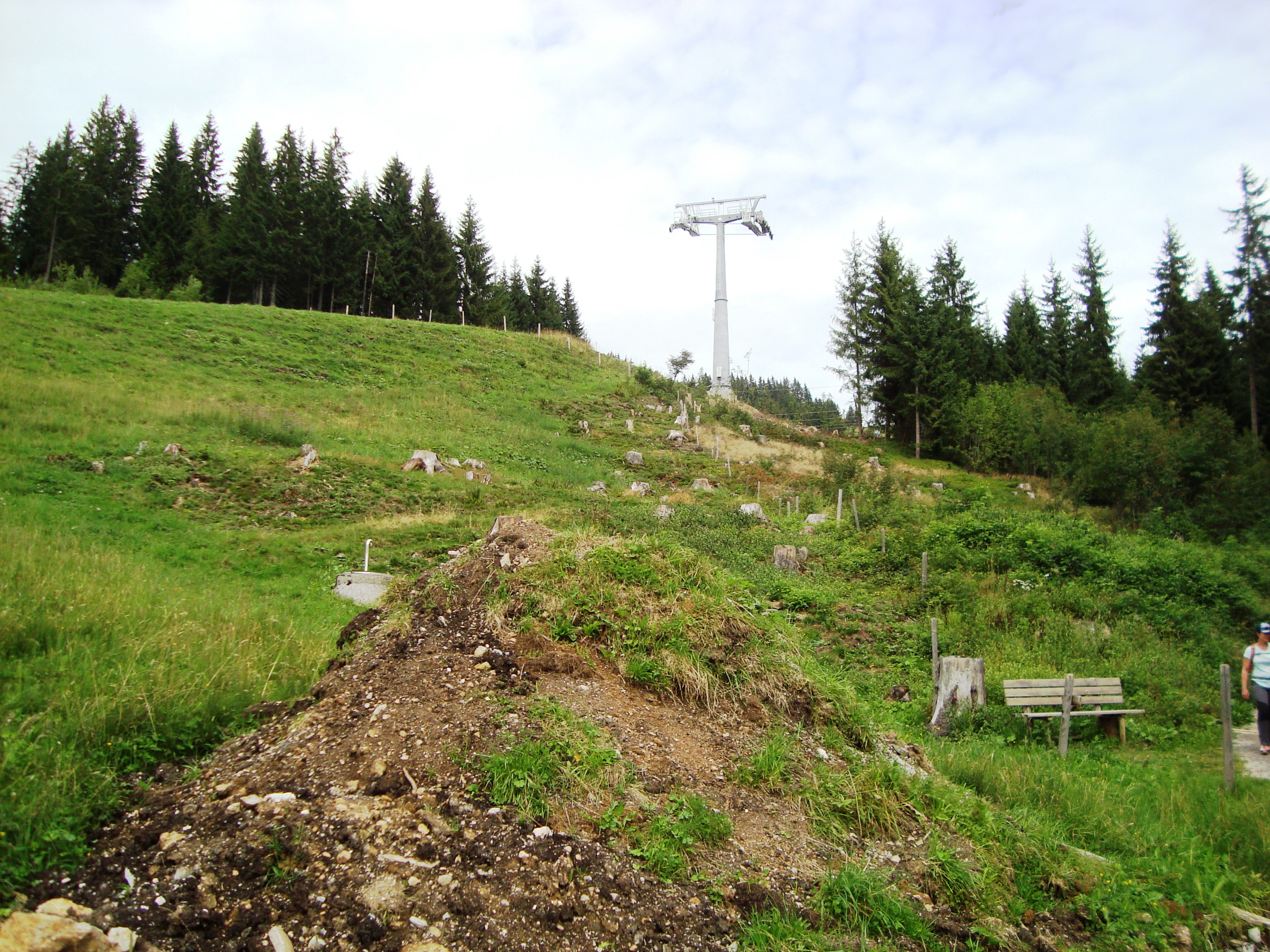 Im unteren Teil hat man vor einigen Jahren den Wald etwas geschlägert. Aber immer noch nicht die Piste verbreitert.