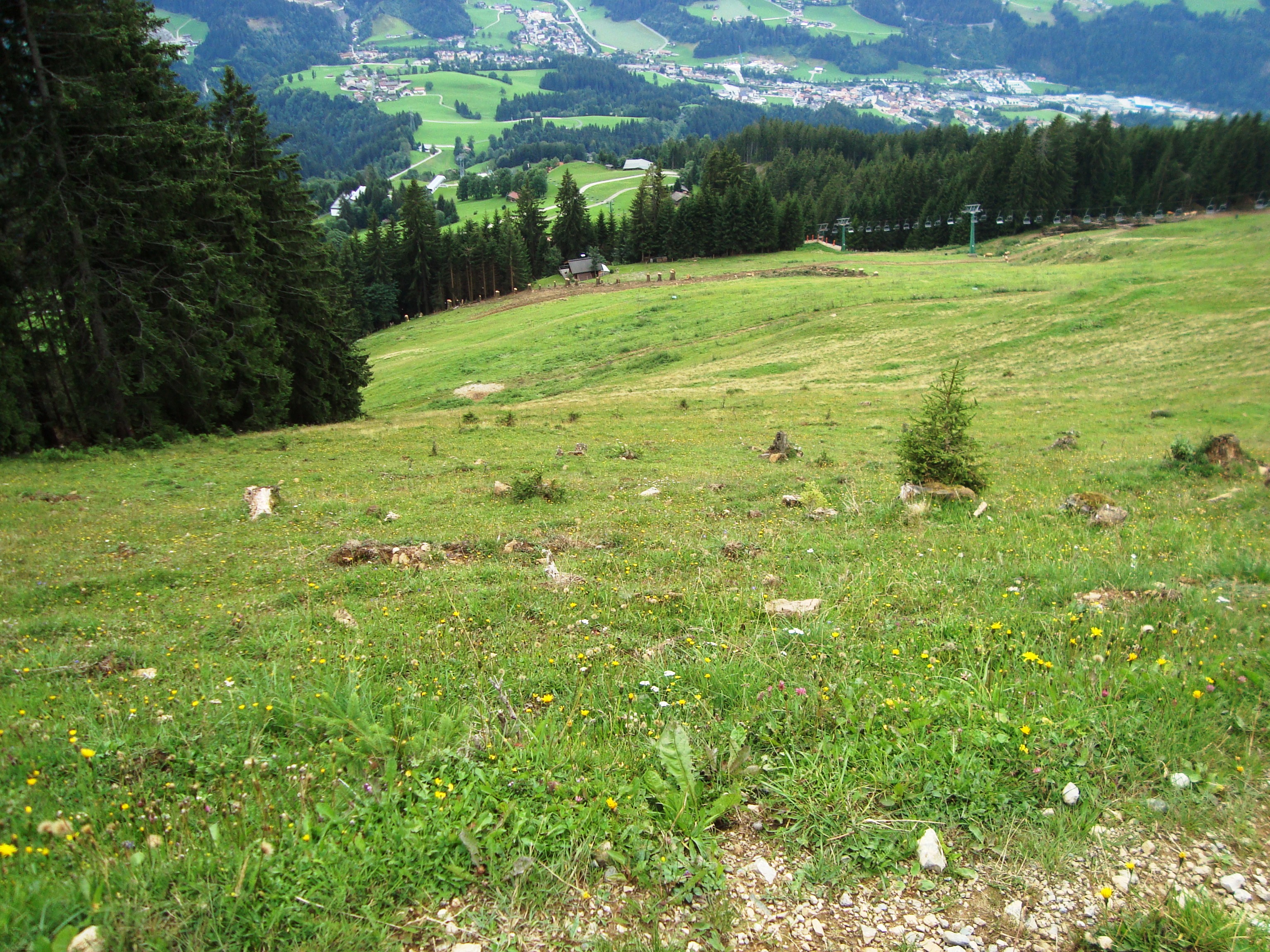 Piste von der Rigi Richtung Hopfgarten Thenn.
