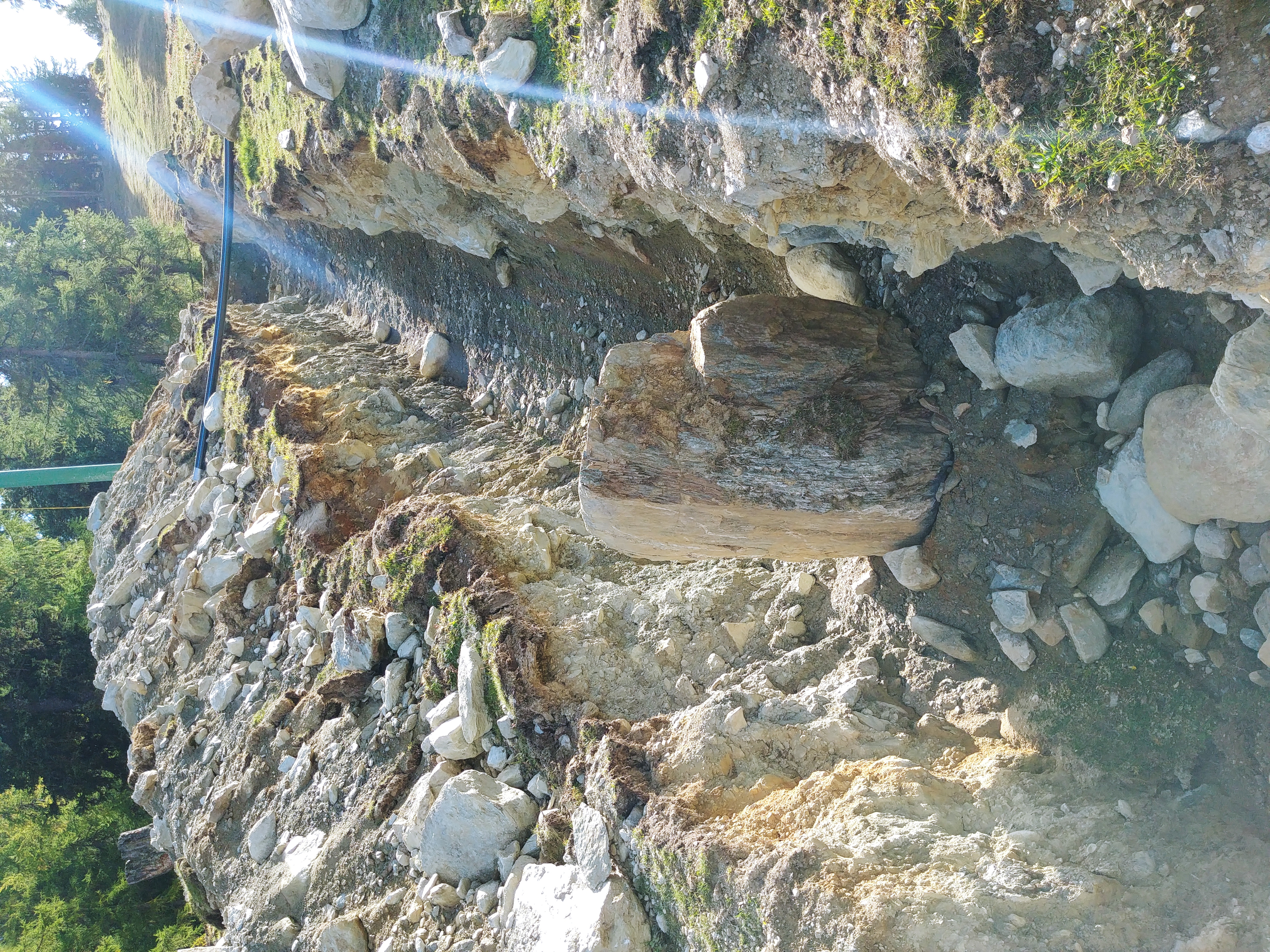 20191005_153317.jpg