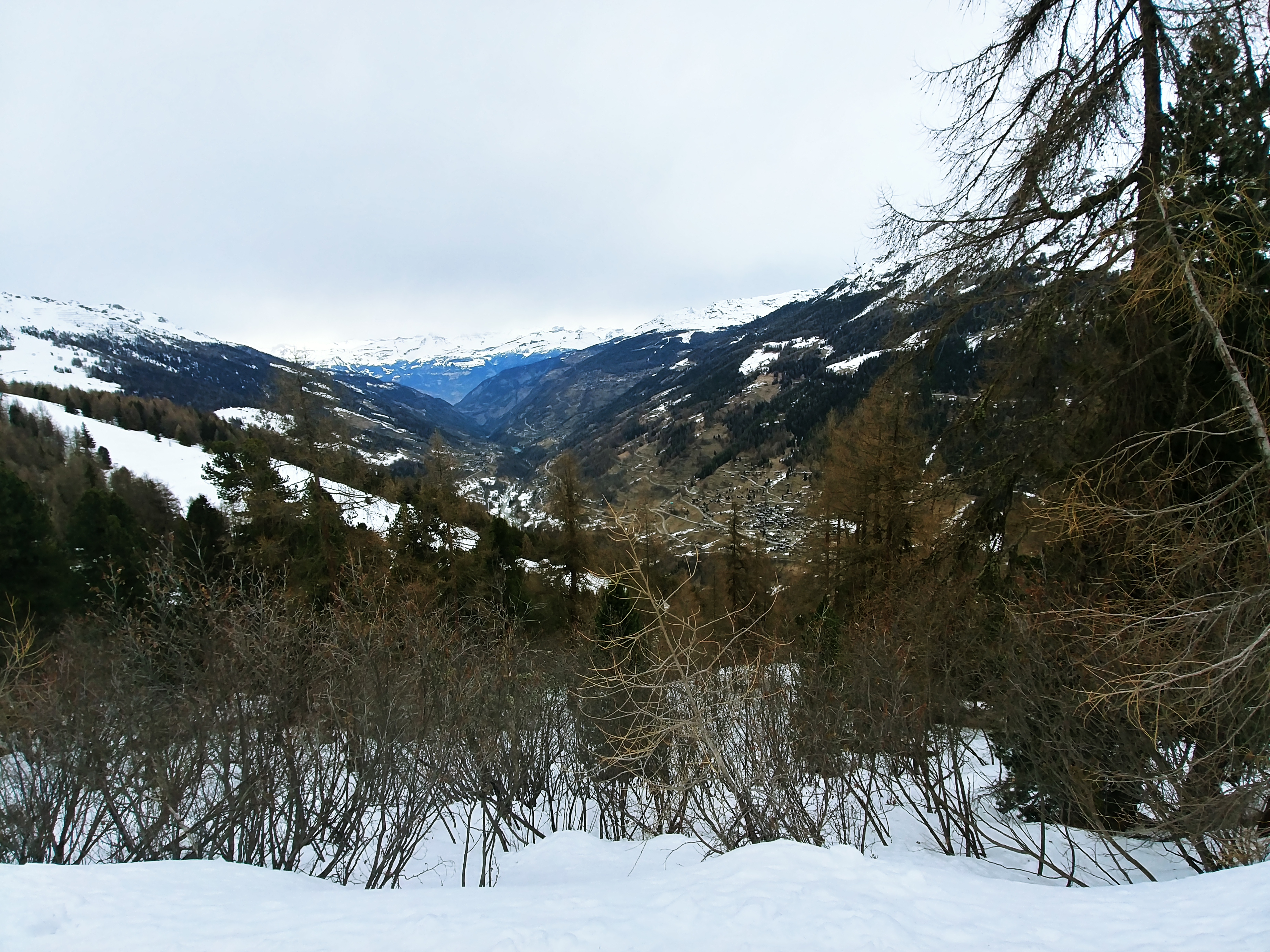 20200225_123522_HDR.jpg