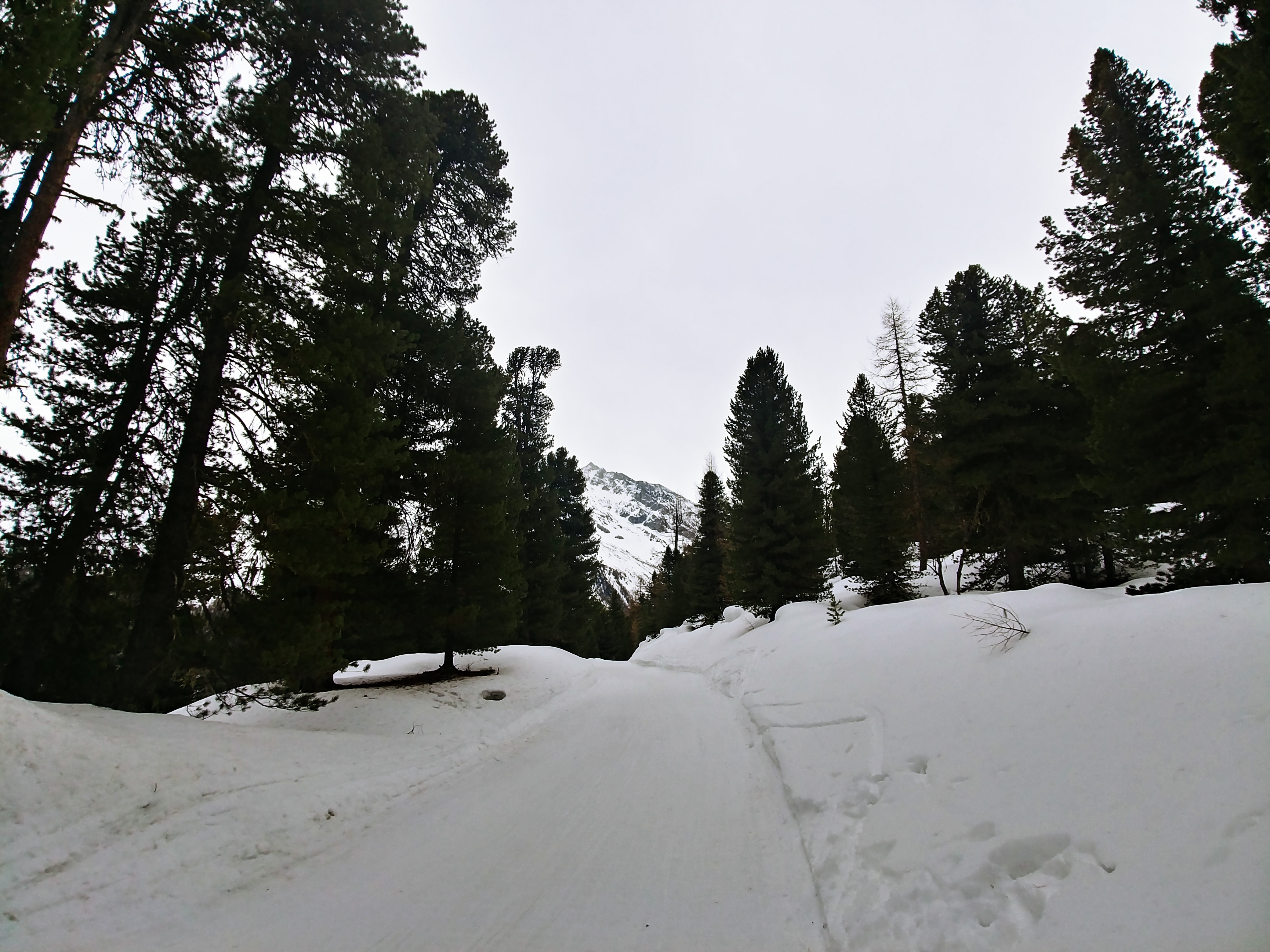 20200225_123244_HDR.jpg