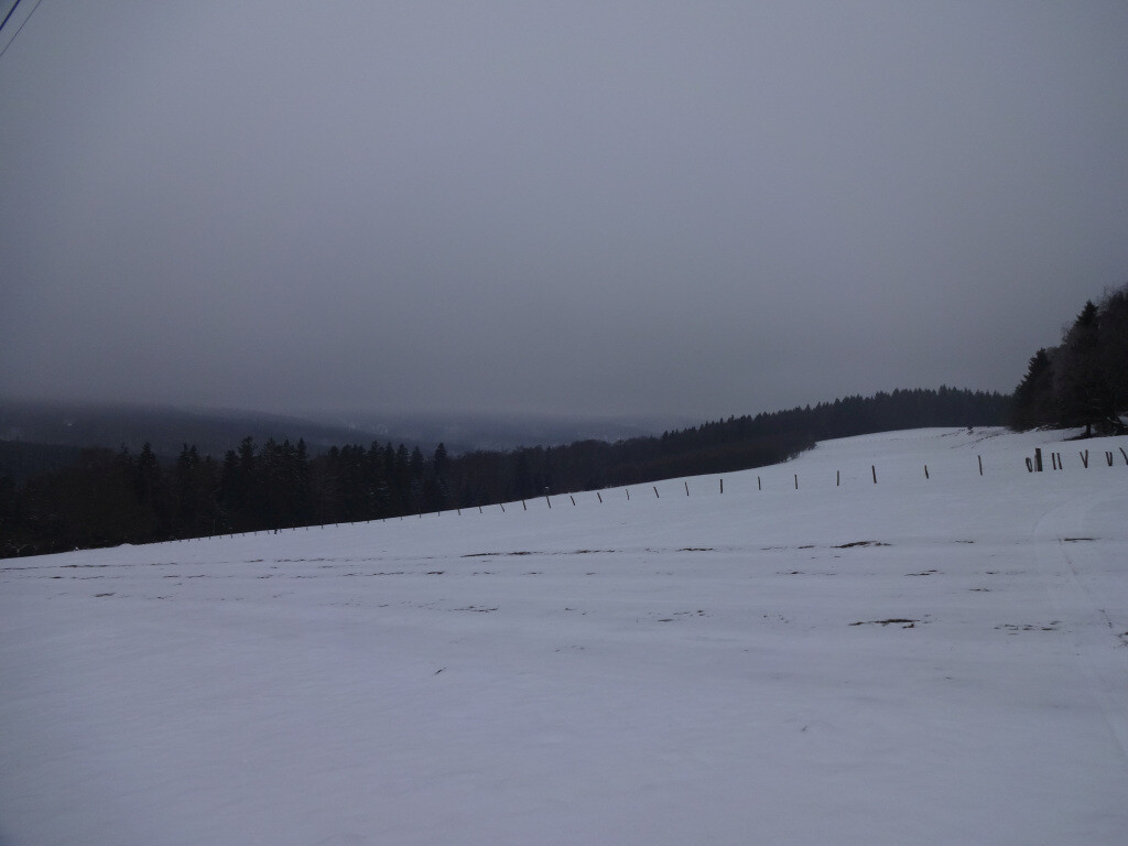 DSC02793.JPG