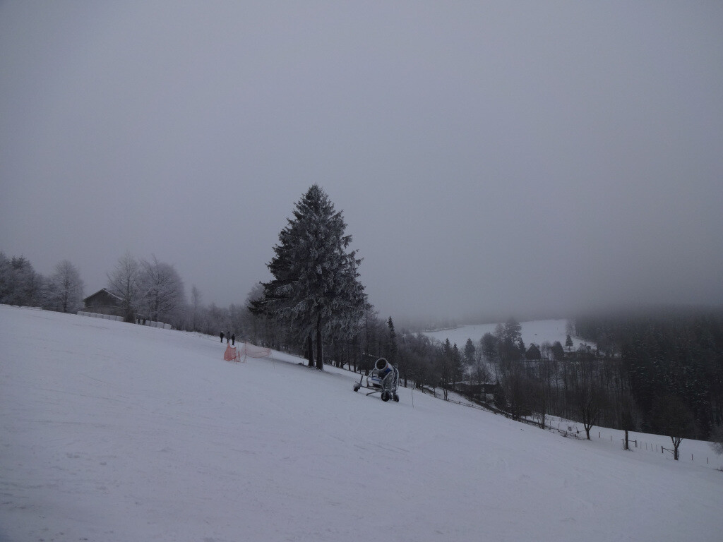DSC02796.JPG